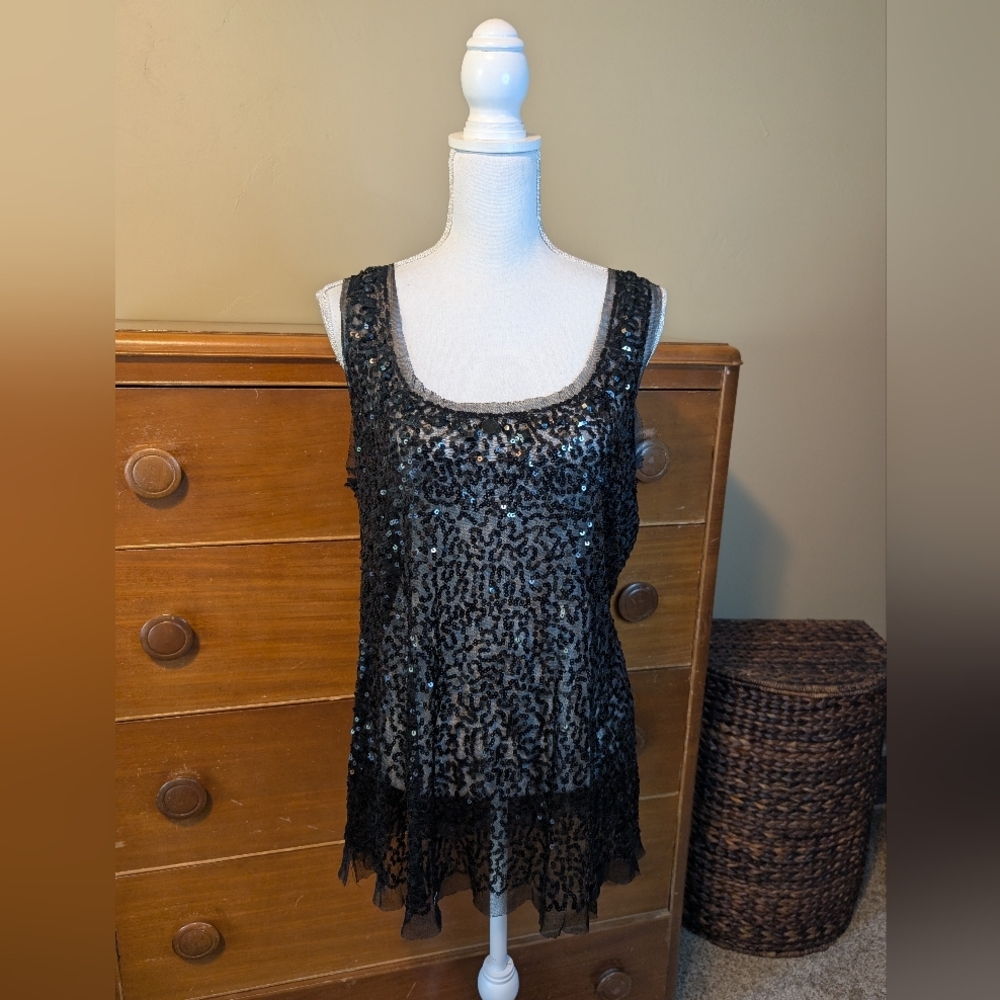 Sheer Black Lace Sequin Plus Lingerie
